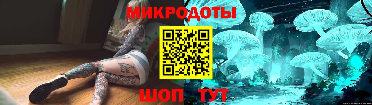 Галлюциногенные грибы Psilocybe  Вход с VPN  Псилоцибиновые грибы Cubensis  Полысаево 